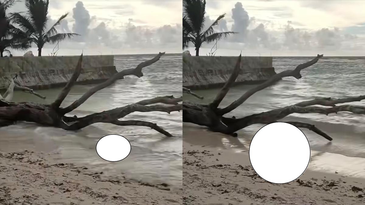 Jenazah Tanpa Kepala dan Tangan Ditemukan di Pantai Walur Pesisir Barat