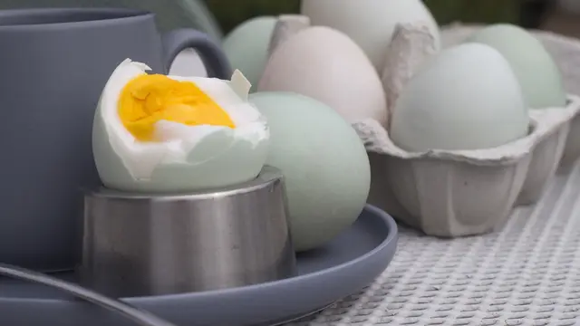 Telur Itik