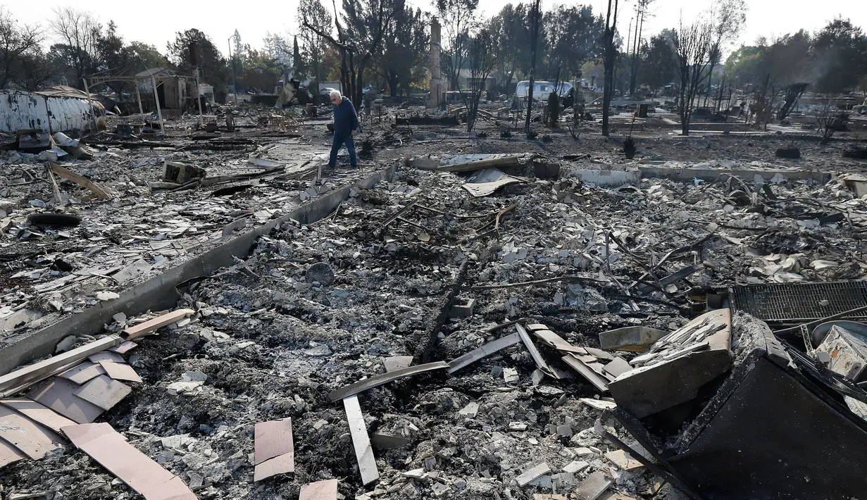 Phil Rush berjalan di puing-puing rumahnya yang rata dengan tanah setelah kebakaran hebat di kawasan penghasil anggur Santa Rosa, California, Rabu (11/10). Setidaknya 17 orang tewas dan sekitar 2.000 bangunan hancur total dimakan api. (AP Photo/Jeff Chiu)