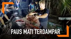 Seekor paus mati terdampar di pesisir pantai Filipina. Para aktivis menemukan sampah plastik sebanyak 40 kg di dalam perut paus tersebut.