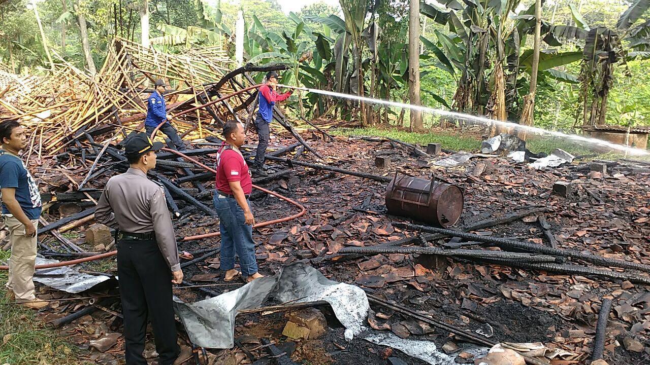 Ribuan Ayam Siap Panen Jadi Abu Gara-Gara Korsleting Listrik