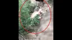 Makhluk asing menyerupai manusia dengan bentuk fisik tak biasa, tertangkap kamera di Cina (dailymail)