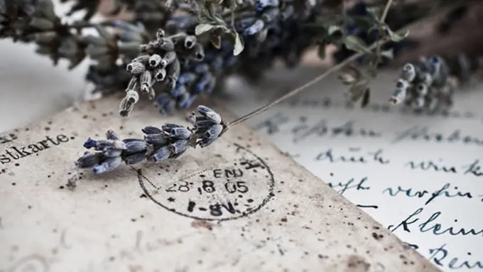 Foto: copyright thinkstockphotos.com