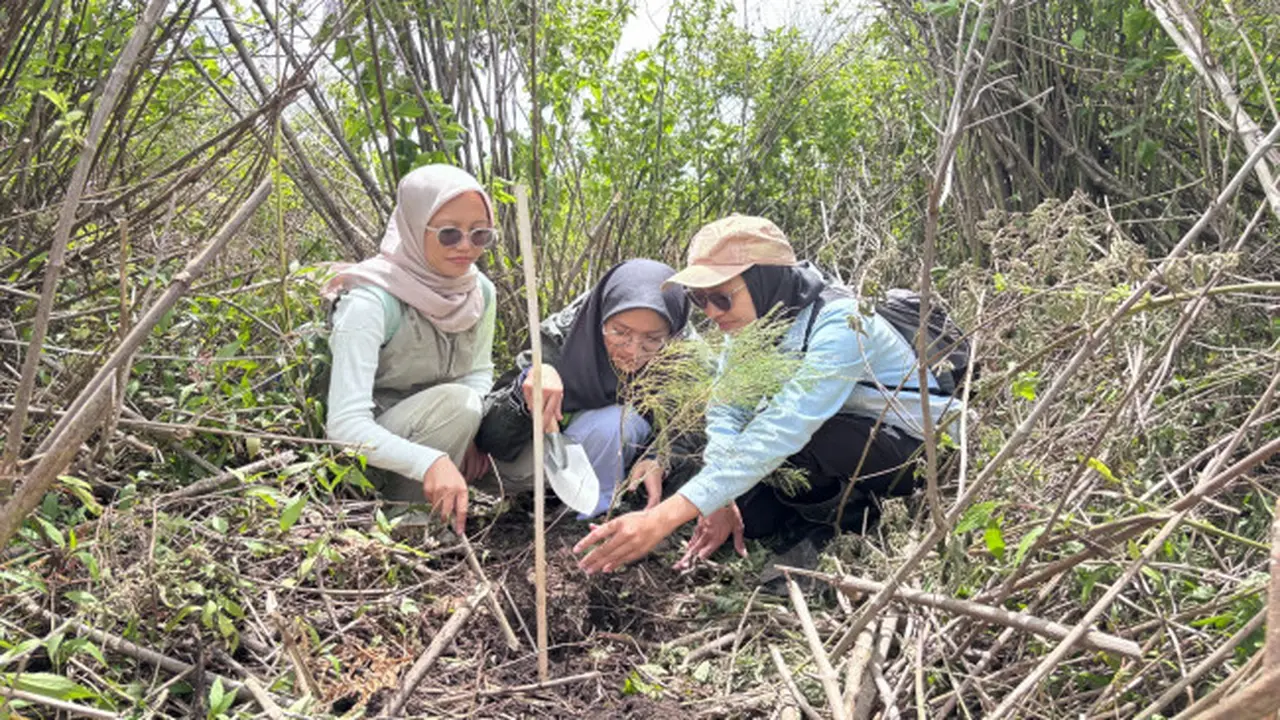 1.400 Bibit Tumbuhan Endemik Semeru Ditanam di Lahan Kritis Ranupani