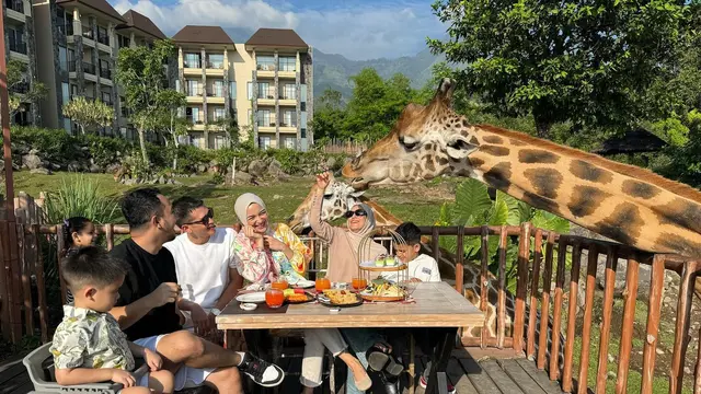 7 Potret Citra Kirana dan Keluarga di Taman Safari, Sarapan Bareng Jerapah