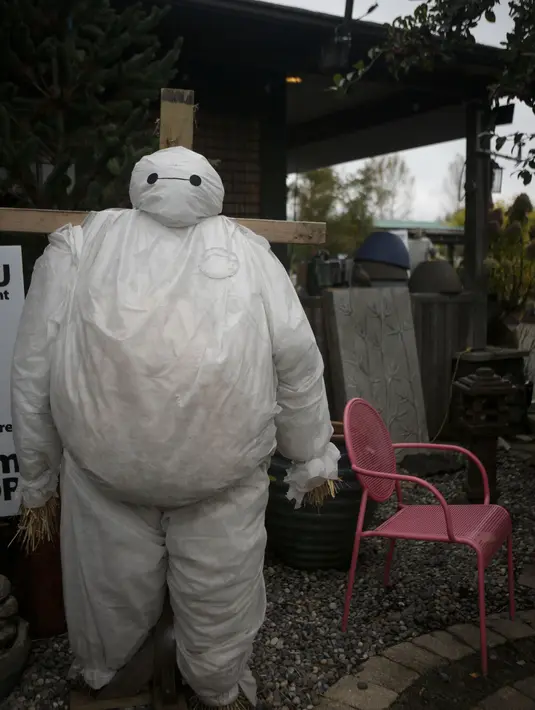 Sebuah orang-orangan sawah ditampilkan dalam Festival Orang-orangan Sawah tahunan jelang perayaan Halloween di Langley, British Columbia, Kanada (19/10/2020). (Xinhua/Liang Sen)