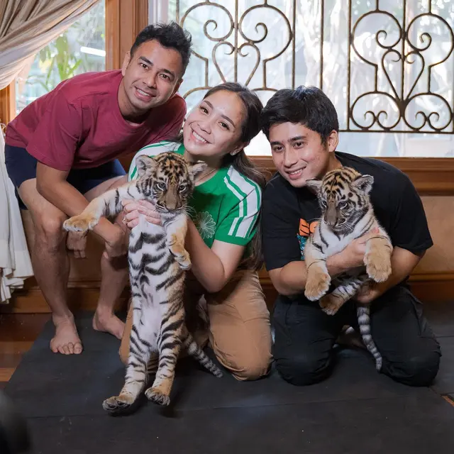 7 Potret Nagita Slavina Bareng Cipung Main dengan Anak Harimau Ini Bikin Gemas