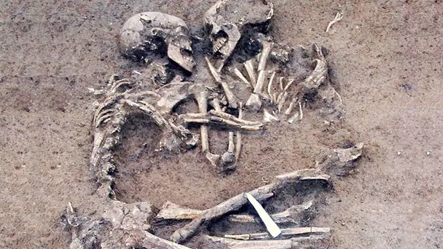 Courtesy Buzzfeed.com