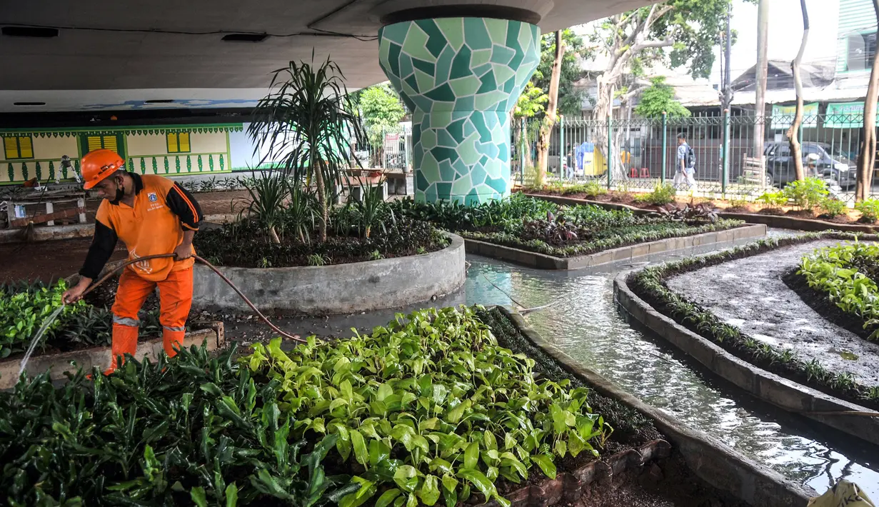 Petugas Penanganan Prasarana dan Sarana Umum (PPSU) Kelurahan Bali Mester menyiram tanaman saat menyelesaikan pembangunan taman bermain di kolong Flyover Kampung Melayu, Jakarta, Selasa (7/3/2023). Pembangunan taman bermain tersebut bertujuan mengubah kolong flyover yang sebelumnya terkesan seram menjadi tempat interaksi warga sekitar sekaligus penataan kawasan. (merdeka.com/Iqbal S. Nugroho)