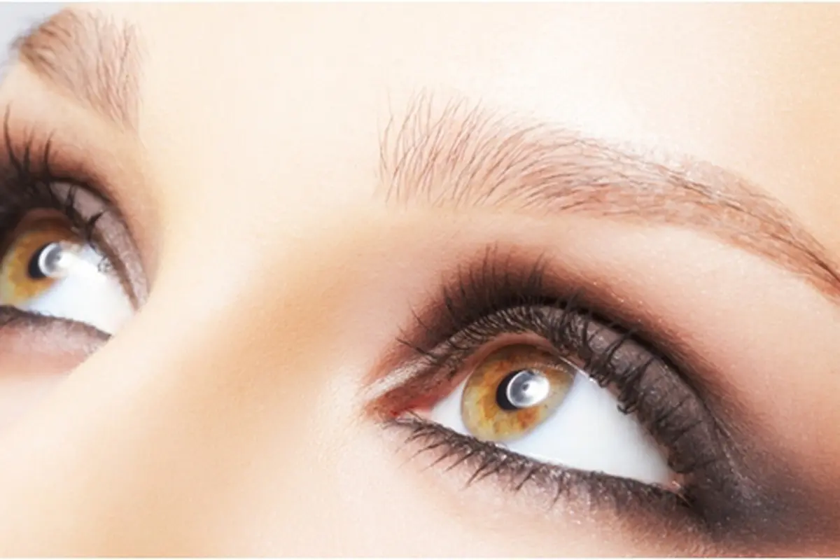 Foto: copyright shutterstock.com