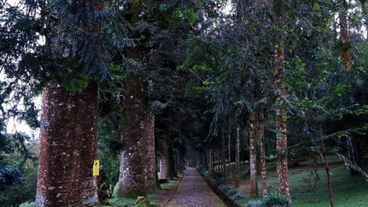 Susi Pudjiastuti Singgung Pengunjung Kebun Raya Cibodas Menurun Saat Libur Lebaran 2025, Gegara Bayar Karcis Berkali-kali