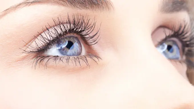 Foto : Copyright Thinkstockphotos.com