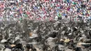 Ratusan kuda liar yang akan ditangkap berlarian di Duelmen, Jerman (26/5). (AP Photo/Martin Meissner)