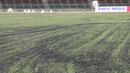 Kondisi rumput dari Stadion National Olympic di Phnom Penh, Rabu (20/2). Stadion ini menjadi salah satu venue yang menggelar laga Piala AFF U-22 2019. (Bola.com/Zulfirdaus Harahap)