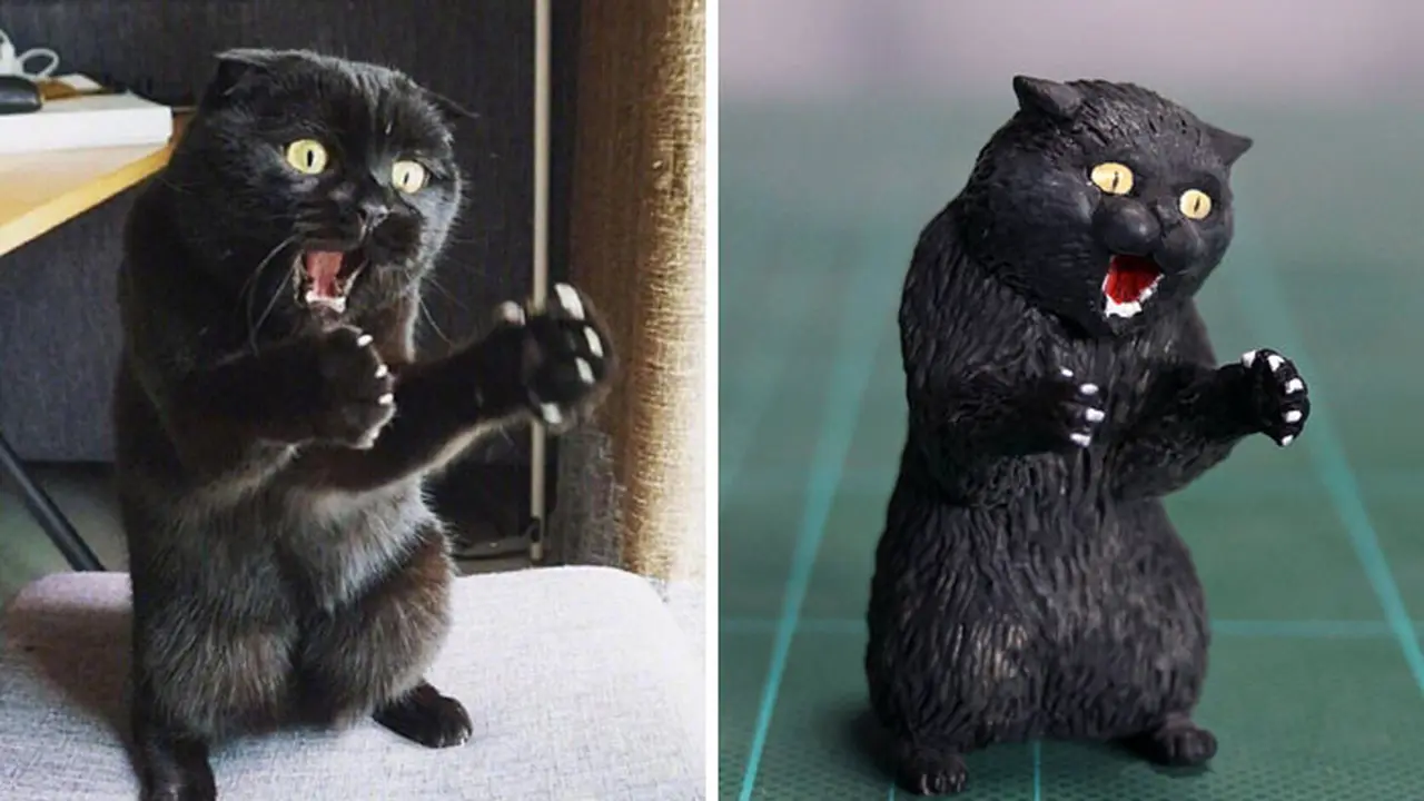 kucing