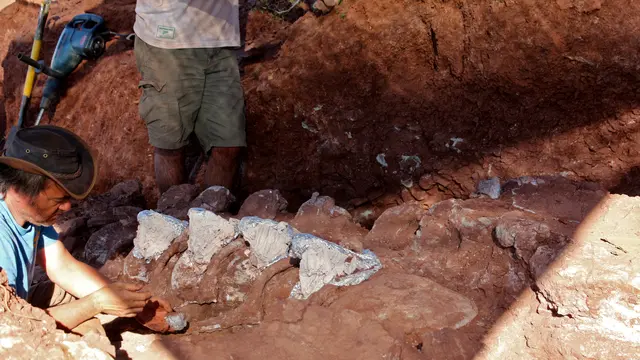 Fosil Dinosaurus Raksasa di Argentina