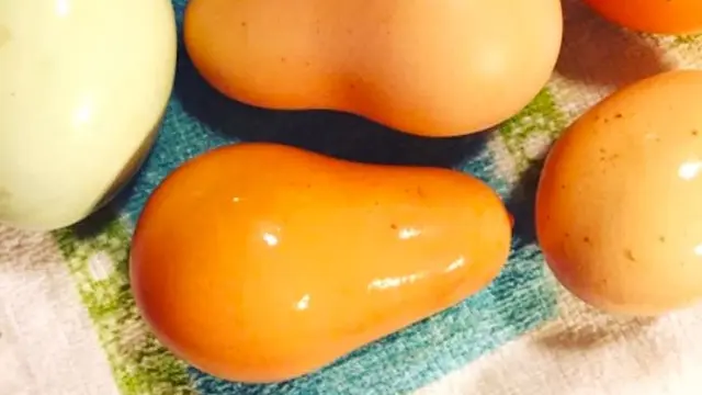 6 Potret Telur Ayam dengan Bentuk Unik, Ada yang Sebesar Kelereng