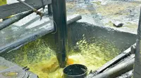 Dari Sumur Rakyat Blora, 15 Ribu Liter Minyak Mentah Meluncur ke Pertamina