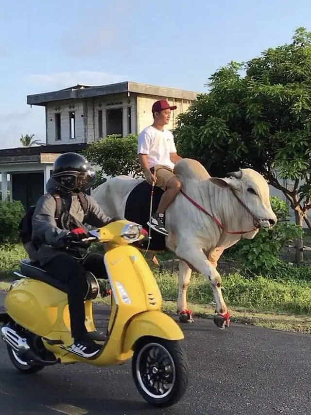 6 Kendaraan Anti-mainstream Buat Cari Sarapan Ini Kocak