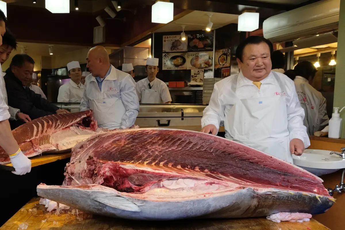 Lelang Ikan Tuna di Tokyo