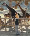 Anak tidak hanya diajak melihat binatang dari berbagai dunia, tetapi juga mendapat pengalaman edukatif yang bermanfaat. [Dok/Pexels.com/www.EPiC VIDEO.es].