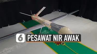 Indonesia memiliki Pesawat Udara Nir Awak pertama. Pesawat Udara Nir Awak (PUNA) jenis Medium Altitude Long Endurance (MALE).