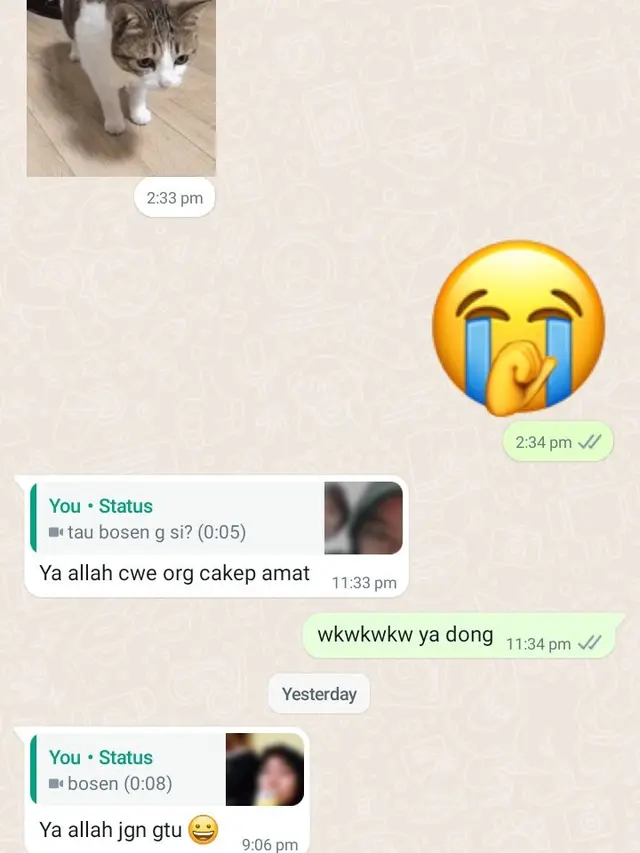 Enggak Punya Hubungan, 7 Chat dari Penggemar Ini Malah Bikin Kesal