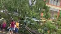 Pohon tumbang menimpa warga saat hujan deras melanda Kota Ambon, Provinsi Maluku. Akibatnya empat orang pengendara yang sedang melintas di Jalan Jenderal Sudirman menjadi korban. (Liputan6.com/ Ist)