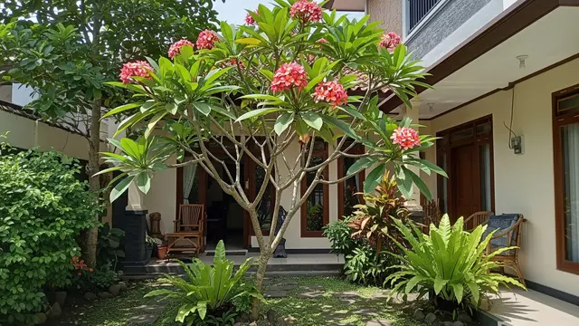 6 Pilihan Pohon Kamboja untuk Rumah Tropis yang Adem, Halaman Lebih Asri