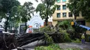 Sejumlah pohon di kota Hanoi tumbang. (Nhac NGUYEN/AFP)