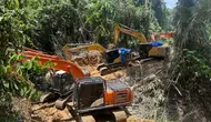 24 Warga Asing Terjerat Penambangan Emas Ilegal Gunung Botak