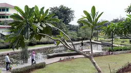 Warga berjalan-jalan di kawasan Taman Piknik, Jakarta, Minggu (20/1). Taman seluas 1 hektar di Jalan Manunggal II, Cipinang Melayu, Jakarta Timur ini menjadi salah satu taman baru milik Pemprov DKI Jakarta untuk warga. (Liputan6.com/Helmi Fithriansyah)
