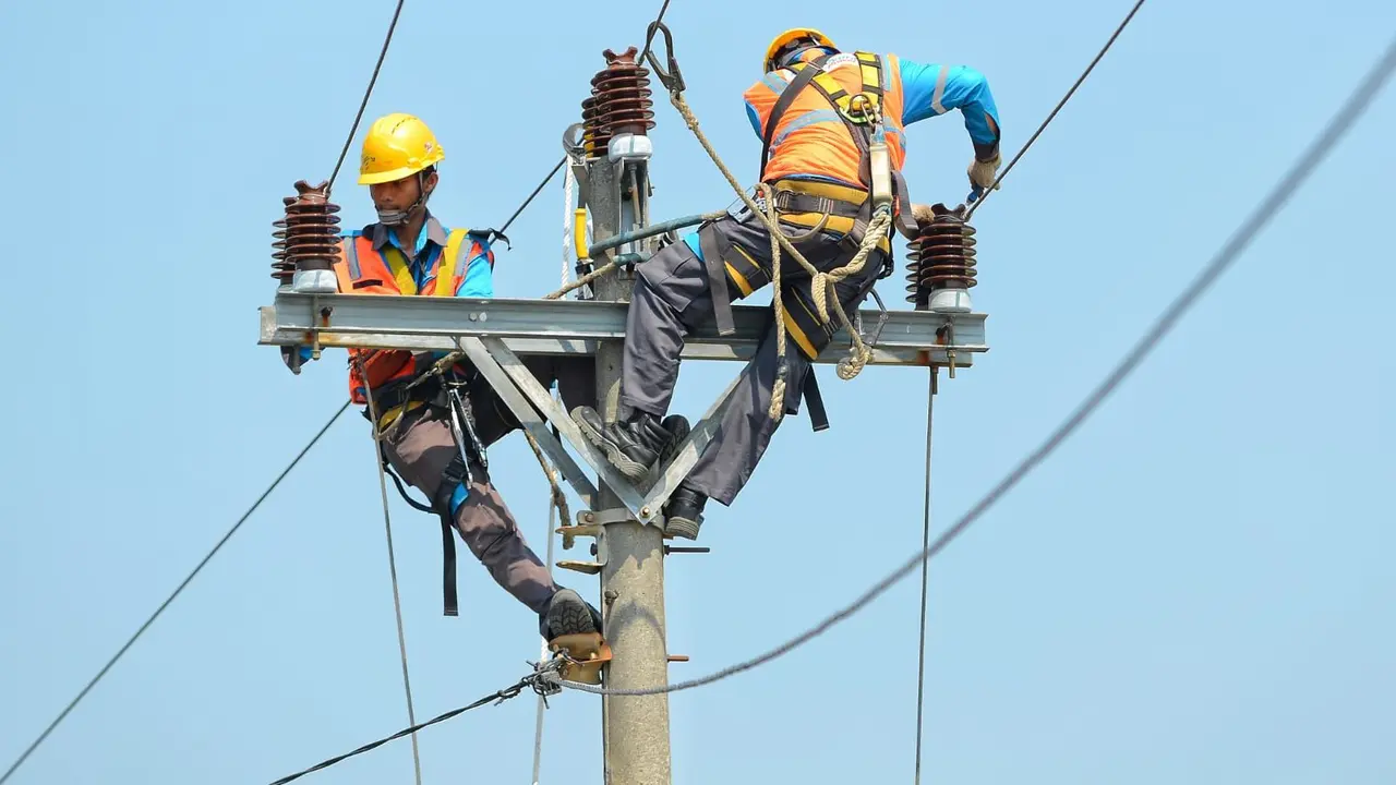 PLN