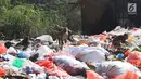Sejumlah monyet liar penghuni hutan tebing kapur Ciampea menyerbu kios dan tumpukan sampah di pasar Ciampea Baru,Bogor Selasa (07/08).(Merdeka.com/Arie Basuki)