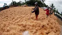 Pekerja menjemur serat sabut kelapa di Desa Lembengan, Jatim. Serat tersebut dipasarkan ke China untuk bahan baku jok mobil dan  kasur springbed.(Antara)