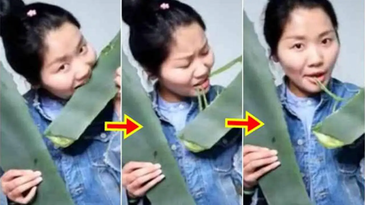 Viral, Wanita Ini Hampir Mati Saat Siarkan Makan Lidah Buaya