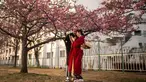 Sepasang kekasih berdiri di bawah pohon sakura di sebuah taman di distrik Edogawa, Tokyo, Jepang pada Kamis 23 Februari 2023. Tak lama lagi, musim semi tiba di Jepang, dan saatnya untuk melihat bunga sakura bermekaran. Tokyo akan menjadi salah satu kota pertama yang melihat bunga sakura yang diperkirakan akan mekar sekitar 18 Maret dan puncaknya pada 27 Maret. (Philip FONG/AFP)