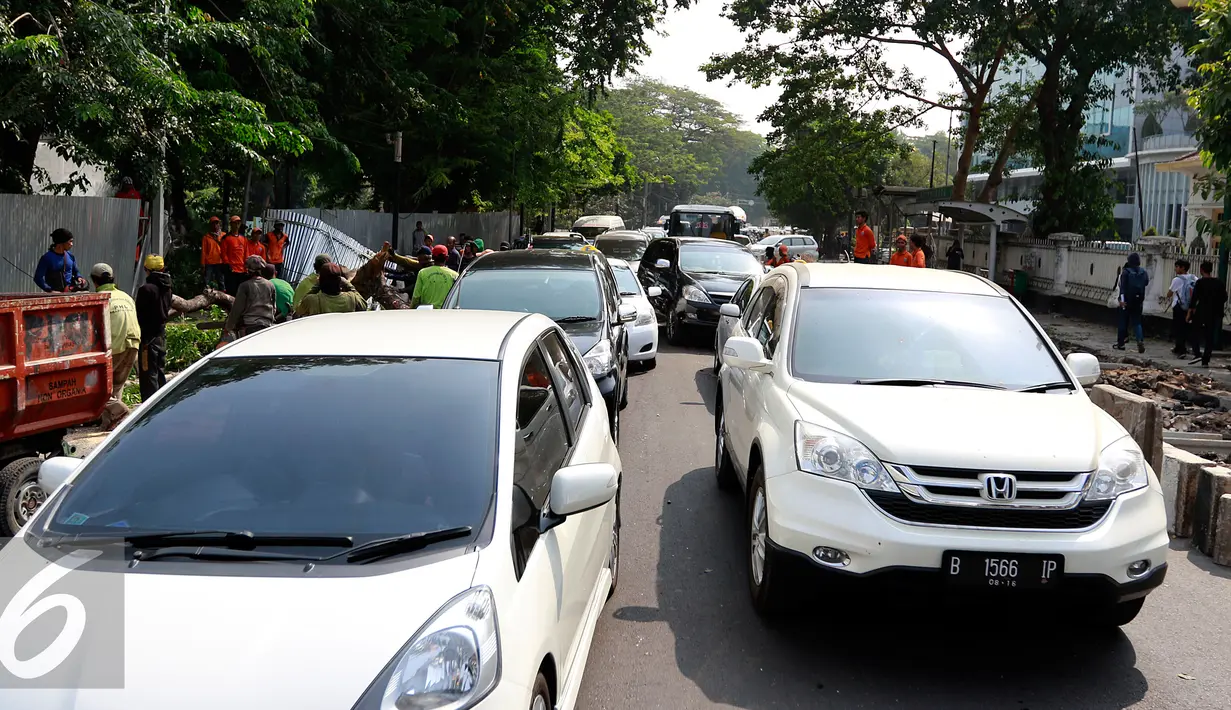 Kemacetan terjadi akibat pohon besar tumbang di depan Rumah Sakit Cipto Mangunkusumo (RSCM), Jakarta, Selasa (27/10/2015). Selain menyebabkan kemacetan panjang, pohon tumbang tersebut juga sempat menimpa sebuah bus metromini. (Liputan6.com/Yoppy Renato)