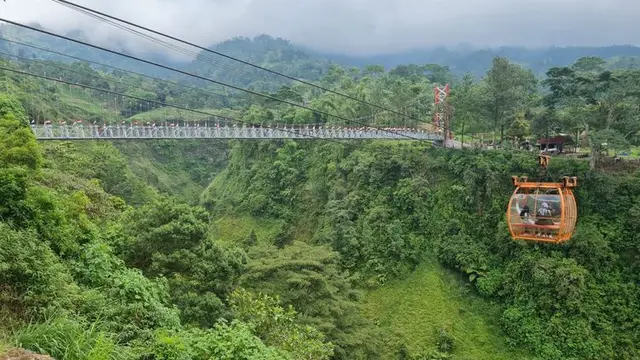 Wisata Desa Tegalmulyo