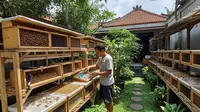 10 Jenis Serangga yang Bisa Diternak dan Menguntungkan, Peluang Bisnis Unik yang Jarang Dilirik