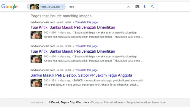 Hasil tangkapan Google Image