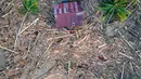 Banyak rumah hanyut, rusak berat hingga tertimbun lumpur yang menggunung. Tampak foto udara menunjukkan sampah kayu mengelilingi sebuah rumah di tengah kerusakan akibat banjir di Meureudu, Kabupaten Pidie Jaya, Provinsi Aceh, pada 30 November 2025. (CHAIDEER MAHYUDDIN/AFP)