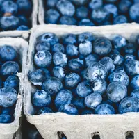Ilustrasi Buah Beri Credit: pexels.com/Veete