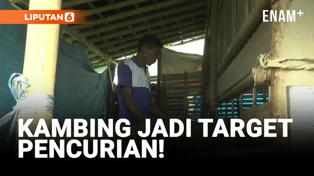 VIDEO: Jelang Idul Adha, 7 Kambing di Banyumas Dicuri!