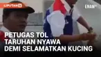 Petugas Tol Becakayu Pertaruhkan Nyawa Demi Selamatkan Kucing