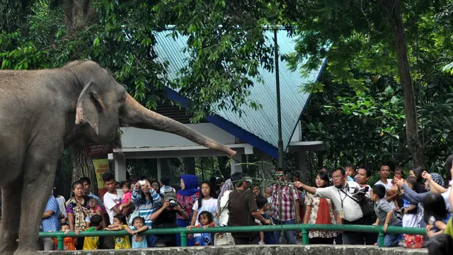 Libur Natal, Warga Jakarta Padati Ragunan