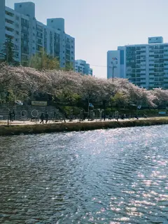 4 Destinasi Wisata yang Wajib Dikunjungi di Korea Selatan./copyright. pexels/