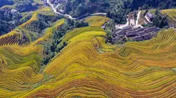 Foto dari udara yang diabadikan pada 12 Oktober 2020 ini menunjukkan pemandangan sawah terasering Longji di Wilayah Longsheng, Daerah Otonom Etnis Zhuang Guangxi, China selatan. (Xinhua/Wu Shengbin)