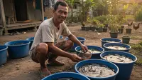 10 Peluang Usaha Ternak Modal Rp 50 Ribu, Cocok untuk Pemula yang Mau Coba-Coba di 2026