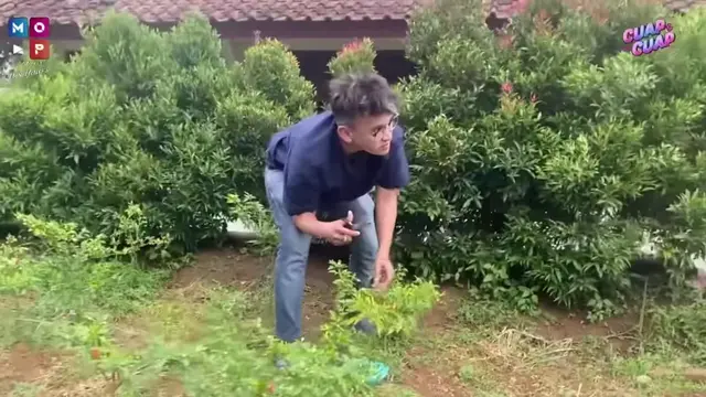 Ruben Onsu Panen Cabai Segar, Kini Mulai Jajal Berkebun